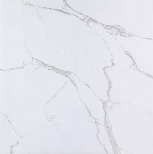 IMG_2249.jpg IMG_2249.jpg